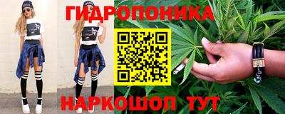 дмт Новодвинск
