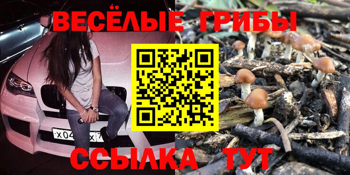 Мончегорск  Псилоцибиновые грибы GOLDEN TEACHER  Вход с VPN 